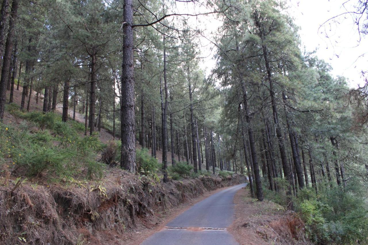 Finca El Cole Villa Las Palmas de Gran Canaria Exteriör bild