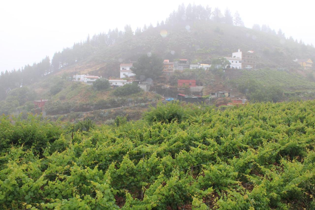 Finca El Cole Villa Las Palmas de Gran Canaria Exteriör bild